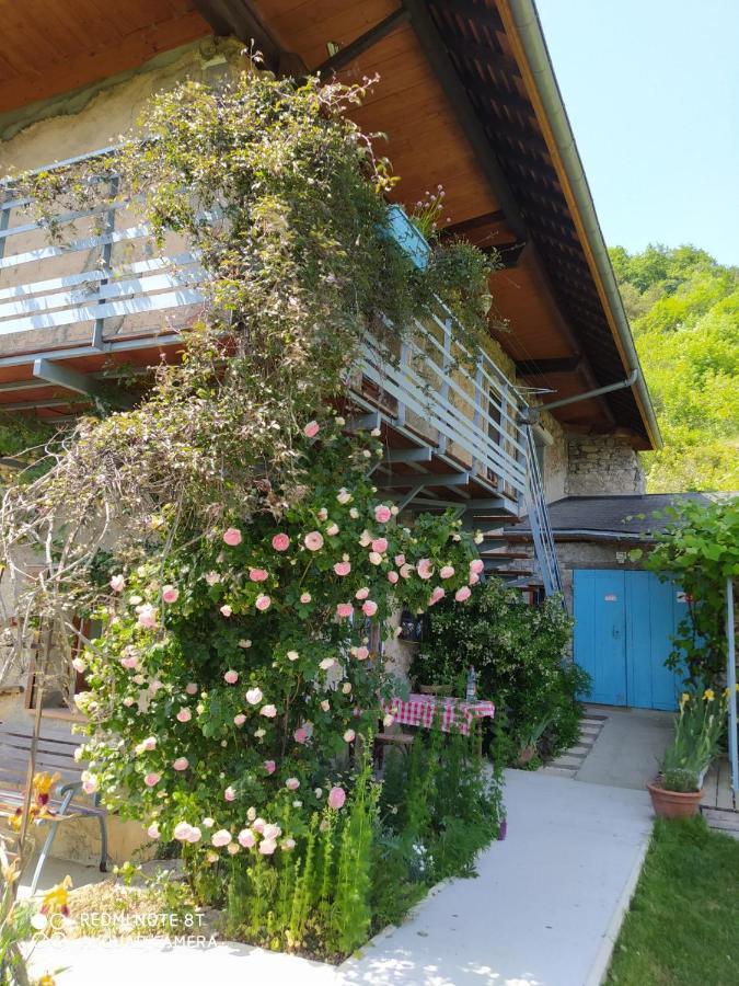 Studio Au Pied De La Montagne Et Vue Imprenable Saint-Alban  Luaran gambar