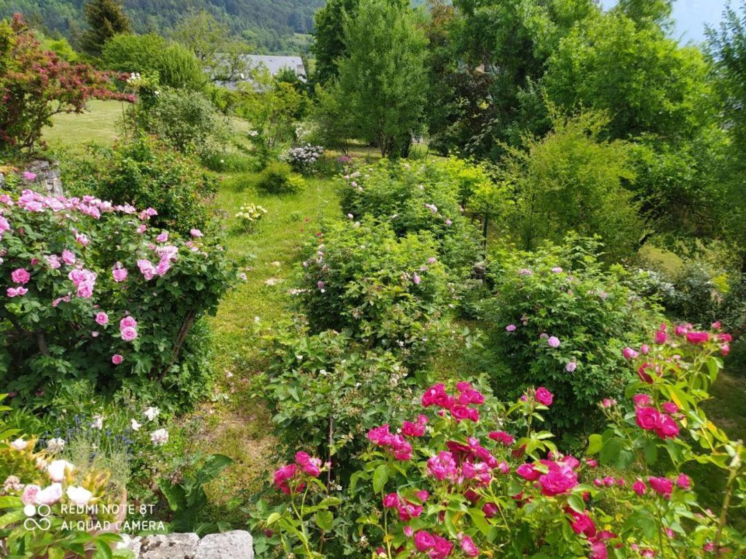 Studio Au Pied De La Montagne Et Vue Imprenable Saint-Alban  Luaran gambar