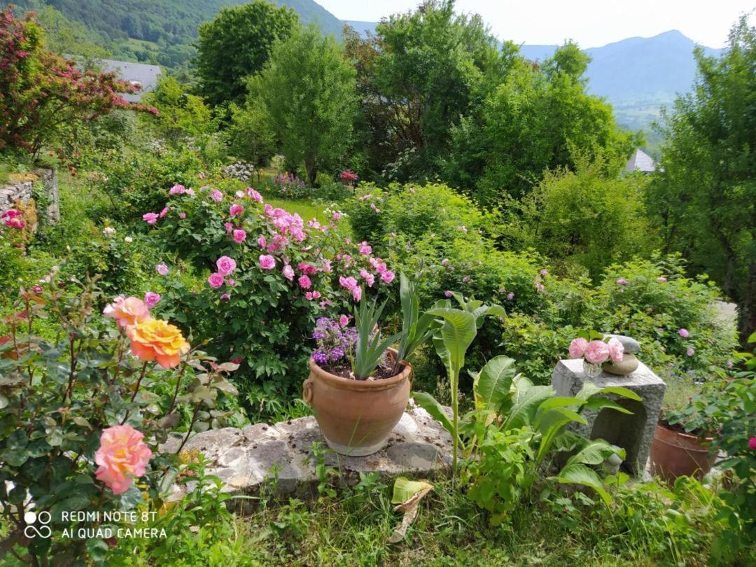 Studio Au Pied De La Montagne Et Vue Imprenable Saint-Alban  Luaran gambar